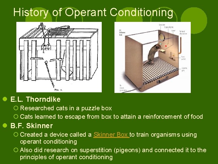 History of Operant Conditioning l E. L. Thorndike ¡ Researched cats in a puzzle