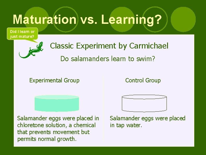 Maturation vs. Learning? Did I learn or just mature? Classic Experiment by Carmichael Do