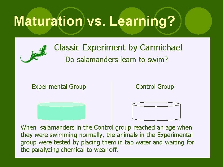 Maturation vs. Learning? Classic Experiment by by Carmichael Do Do salamanders learn to to