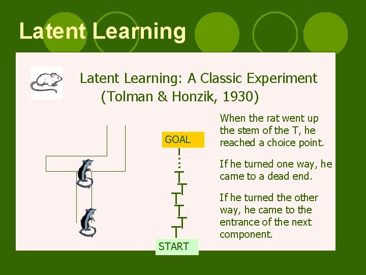 Latent Learning: A Classic Experiment (Tolman & Honzik, 1930) GOAL . . . i