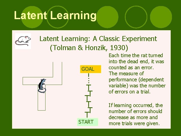 Latent Learning: A Classic Experiment (Tolman & Honzik, 1930) GOAL . . . i