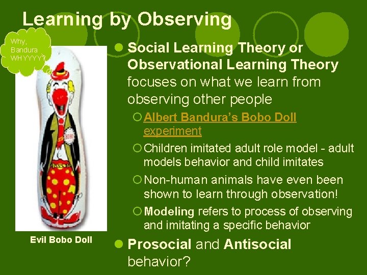 Learning by Observing Why, Bandura WHYYYY? l Social Learning Theory or Observational Learning Theory