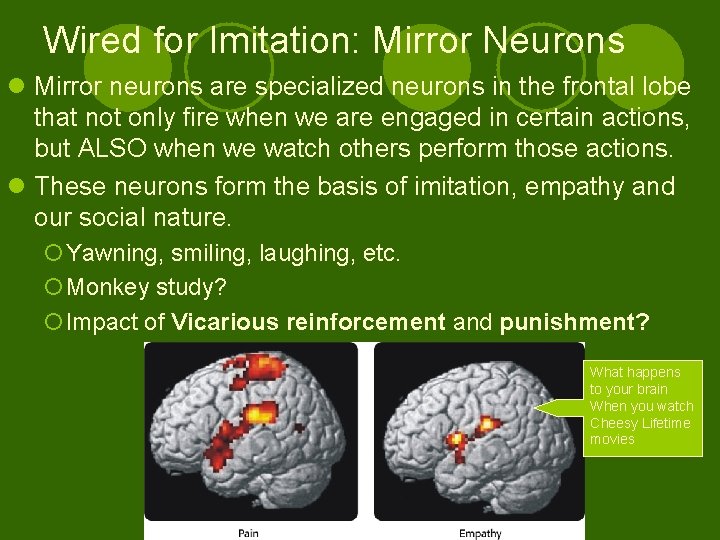 Wired for Imitation: Mirror Neurons l Mirror neurons are specialized neurons in the frontal
