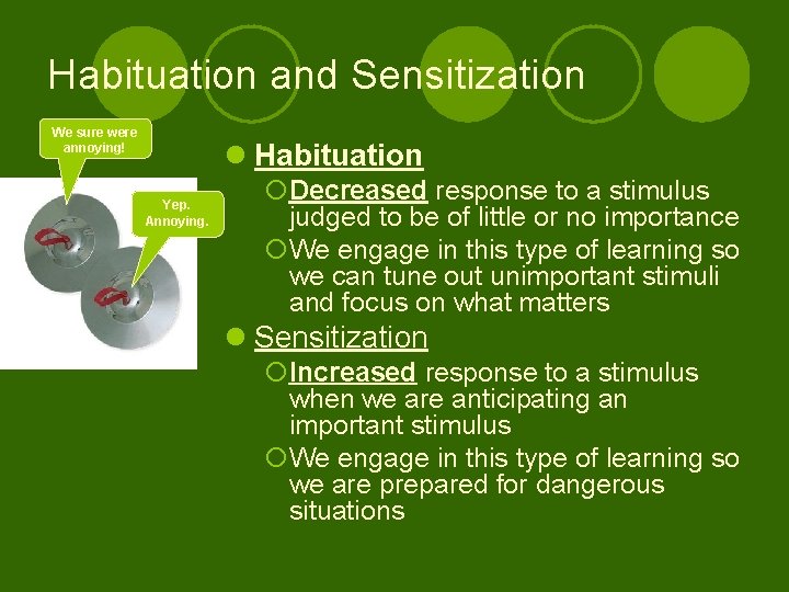 Habituation and Sensitization We sure were annoying! l Habituation Yep. Annoying. ¡Decreased response to