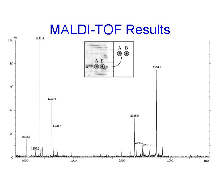 MALDI-TOF Results 