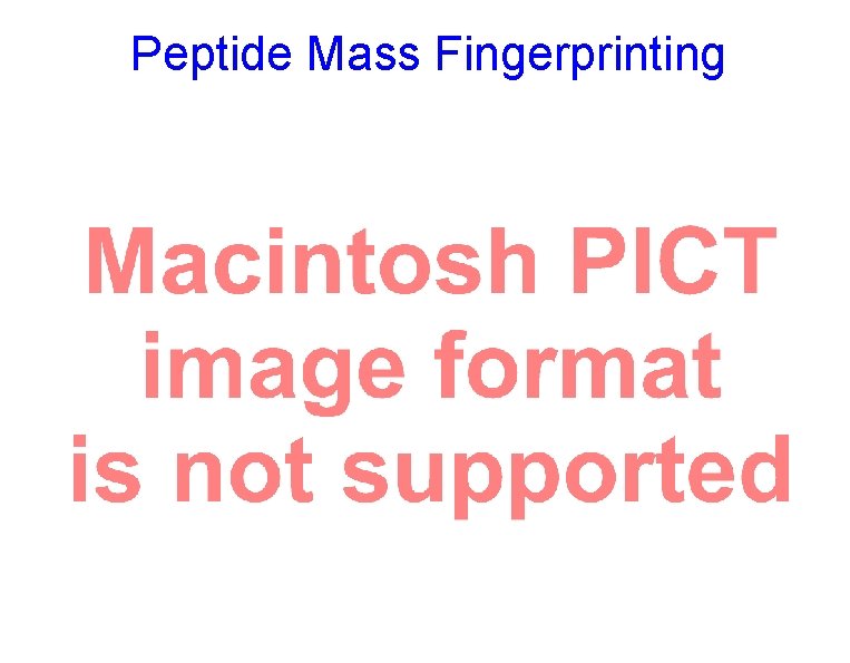 Peptide Mass Fingerprinting 