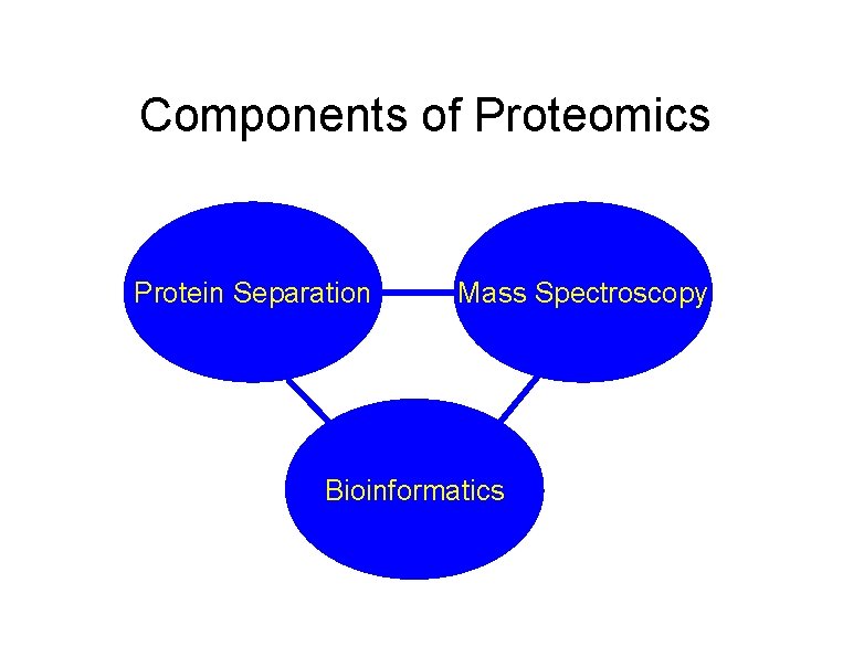Components of Proteomics Protein Separation Mass Spectroscopy Bioinformatics 