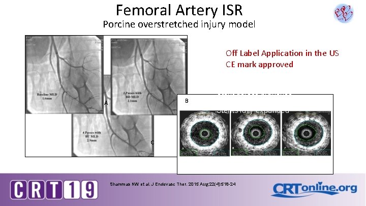 Femoral Artery ISR Porcine overstretched injury model Off Label Application in the US CE
