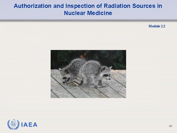 Authorization and Inspection of Radiation Sources in Nuclear Medicine Module 2. 2 21 