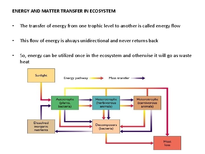 ENERGY AND MATTER TRANSFER IN ECOSYSTEM • The transfer of energy from one trophic