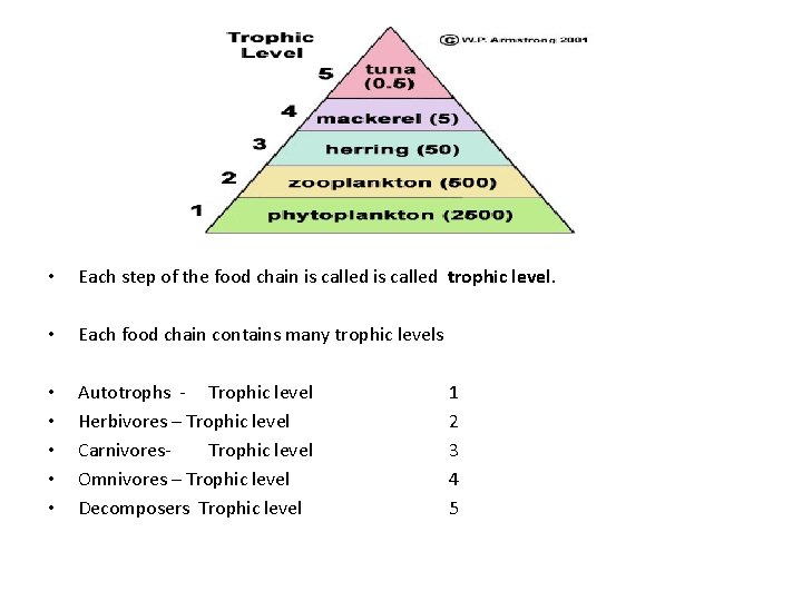  • Each step of the food chain is called trophic level. • •