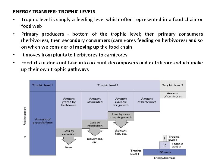 ENERGY TRANSFER- TROPHIC LEVELS • Trophic level is simply a feeding level which often