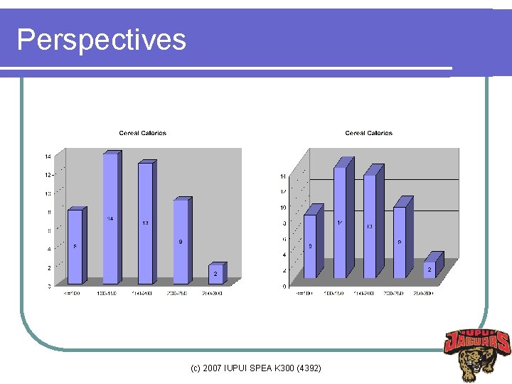 Perspectives (c) 2007 IUPUI SPEA K 300 (4392) 