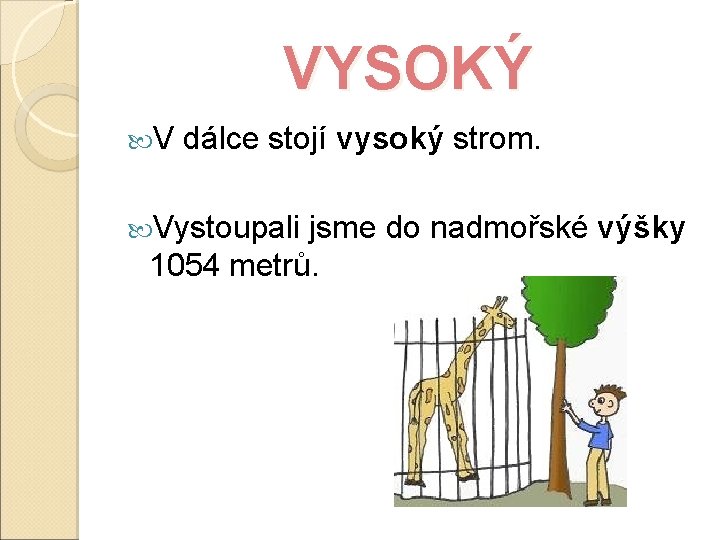 VYSOKÝ V dálce stojí vysoký strom. Vystoupali jsme do nadmořské výšky 1054 metrů. 