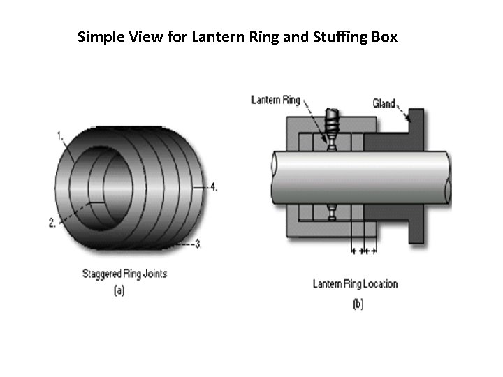 Simple View for Lantern Ring and Stuffing Box 