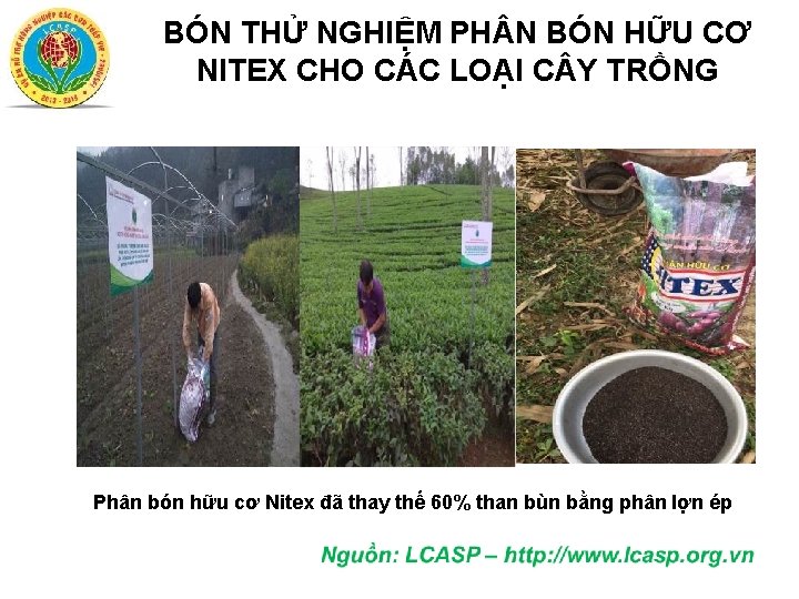 BÓN THỬ NGHIỆM PH N BÓN HỮU CƠ NITEX CHO CÁC LOẠI C Y