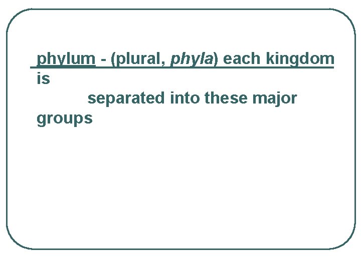 phylum - (plural, phyla) each kingdom is separated into these major groups 