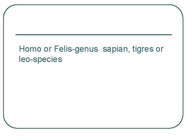 Homo or Felis-genus sapian, tigres or leo-species 