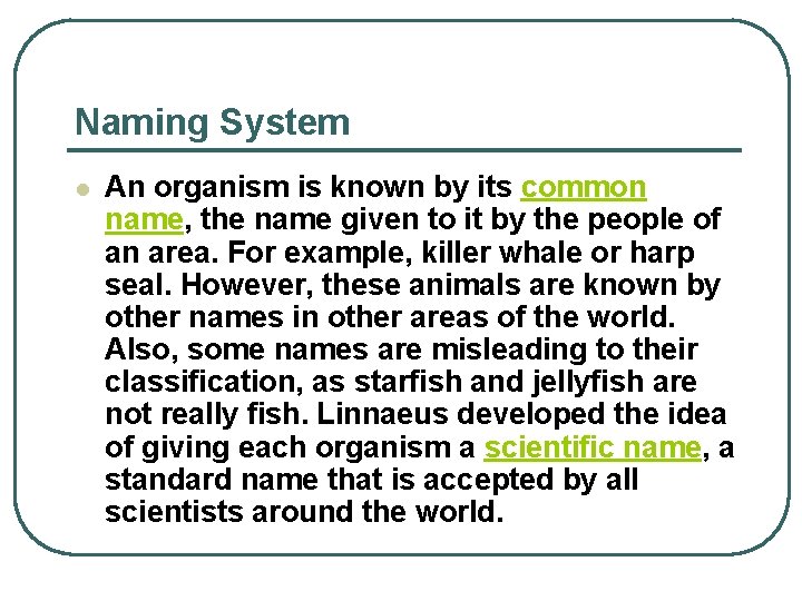 Naming System l An organism is known by its common name, the name given