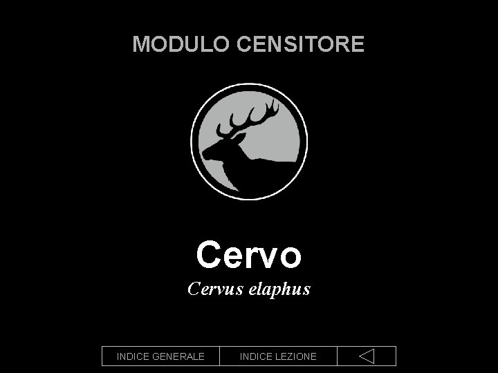 MODULO CENSITORE Cervo Cervus elaphus INDICE GENERALE INDICE LEZIONE 