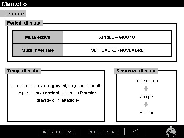 Mantello Le mute Periodi di muta Muta estiva APRILE – GIUGNO Muta invernale SETTEMBRE