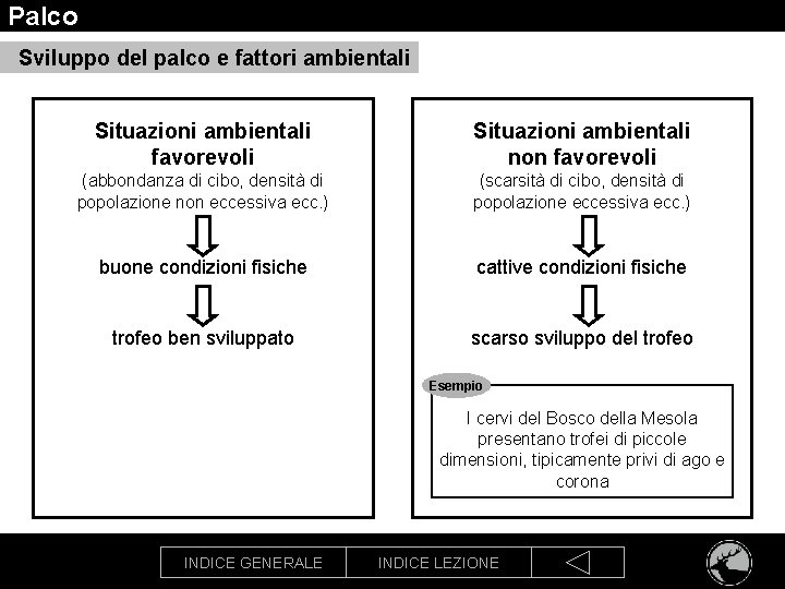 Palco Sviluppo del palco e fattori ambientali Situazioni ambientali favorevoli Situazioni ambientali non favorevoli