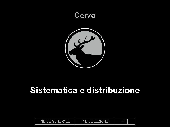 Cervo Sistematica e distribuzione INDICE GENERALE INDICE LEZIONE 