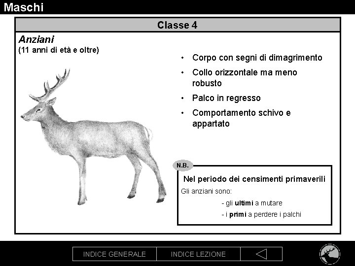 Maschi Classe 4 Anziani (11 anni di età e oltre) • Corpo con segni