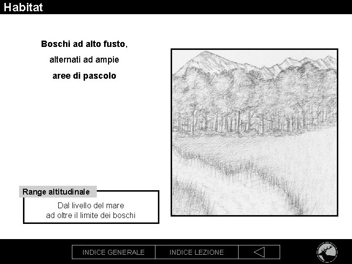 Habitat Boschi ad alto fusto, alternati ad ampie aree di pascolo Range altitudinale Dal