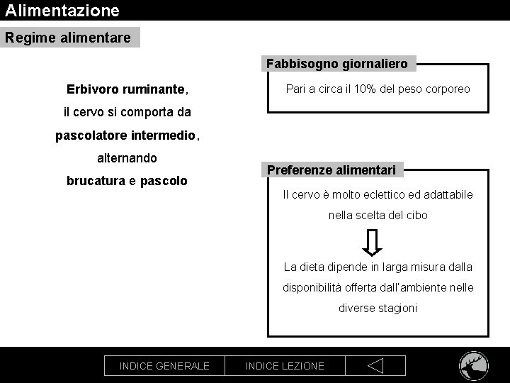 Alimentazione Regime alimentare Fabbisogno giornaliero Erbivoro ruminante, Pari a circa il 10% del peso