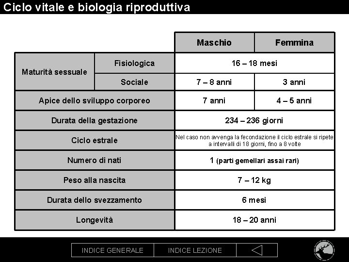 Ciclo vitale e biologia riproduttiva Maschio Fisiologica Femmina 16 – 18 mesi Maturità sessuale