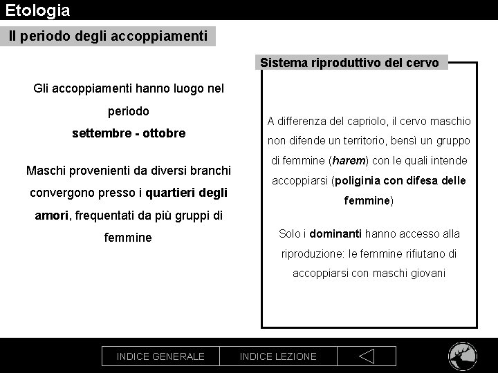 Etologia Il periodo degli accoppiamenti Sistema riproduttivo del cervo Gli accoppiamenti hanno luogo nel