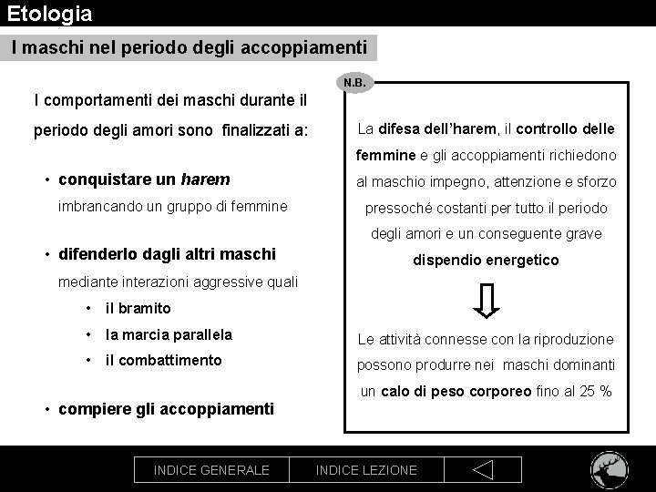 Etologia I maschi nel periodo degli accoppiamenti N. B. I comportamenti dei maschi durante