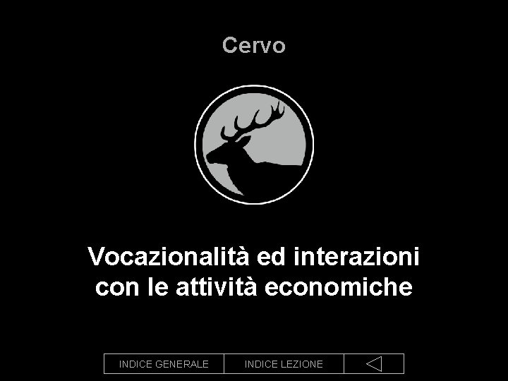 Cervo Vocazionalità ed interazioni con le attività economiche INDICE GENERALE INDICE LEZIONE 