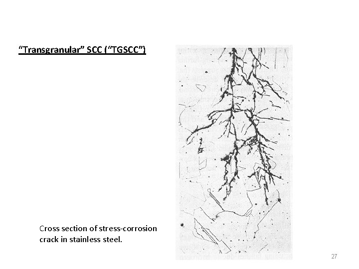 “Transgranular” SCC (“TGSCC”) Cross section of stress-corrosion crack in stainless steel. 27 