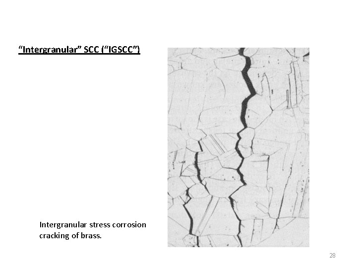 “Intergranular” SCC (“IGSCC”) Intergranular stress corrosion cracking of brass. 28 