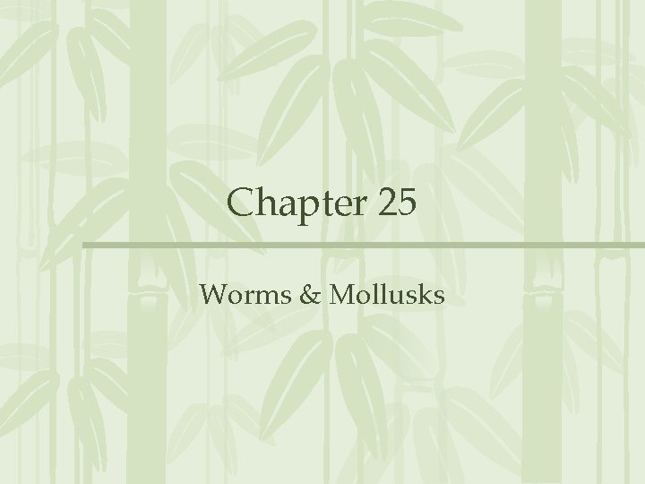 Chapter 25 Worms & Mollusks 