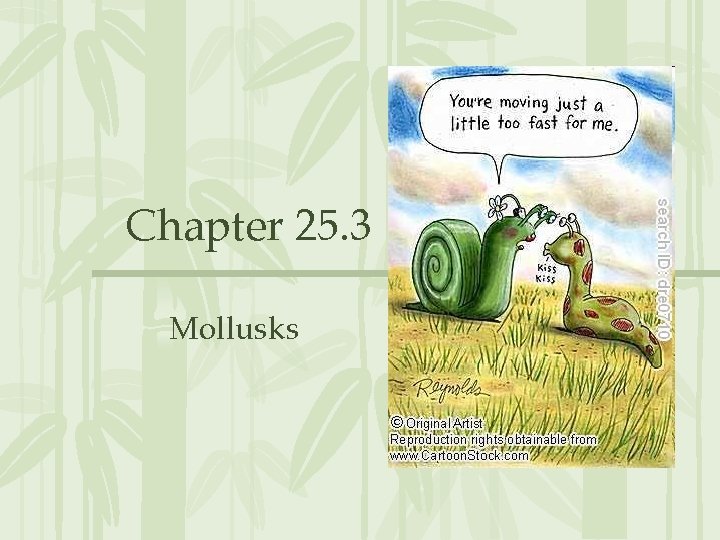 Chapter 25. 3 Mollusks 