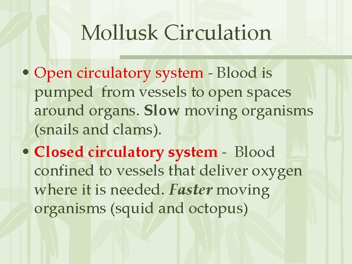 Mollusk Circulation • Open circulatory system - Blood is pumped from vessels to open
