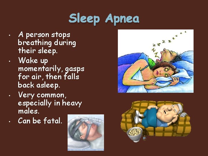 Sleep Apnea • • A person stops breathing during their sleep. Wake up momentarily,