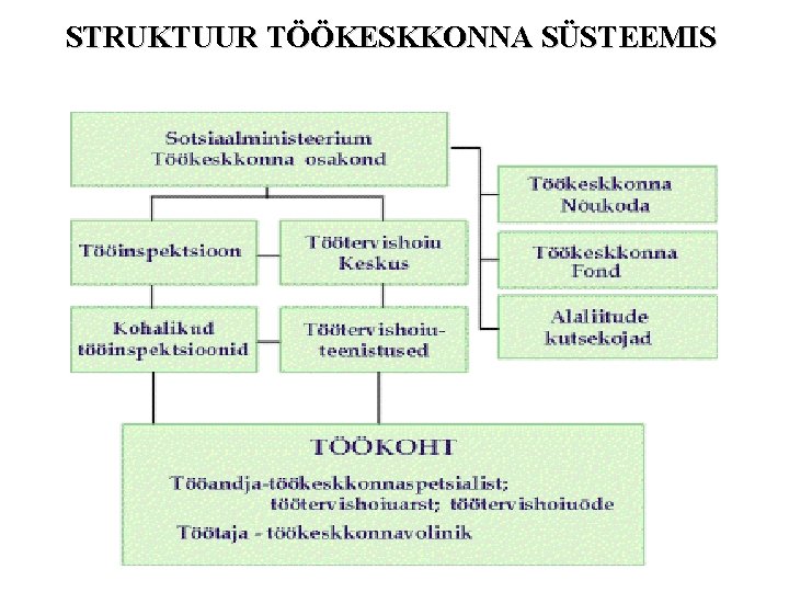 STRUKTUUR TÖÖKESKKONNA SÜSTEEMIS STRUKTUUR TÖÖKESKKONNA SÜSTEEMIS