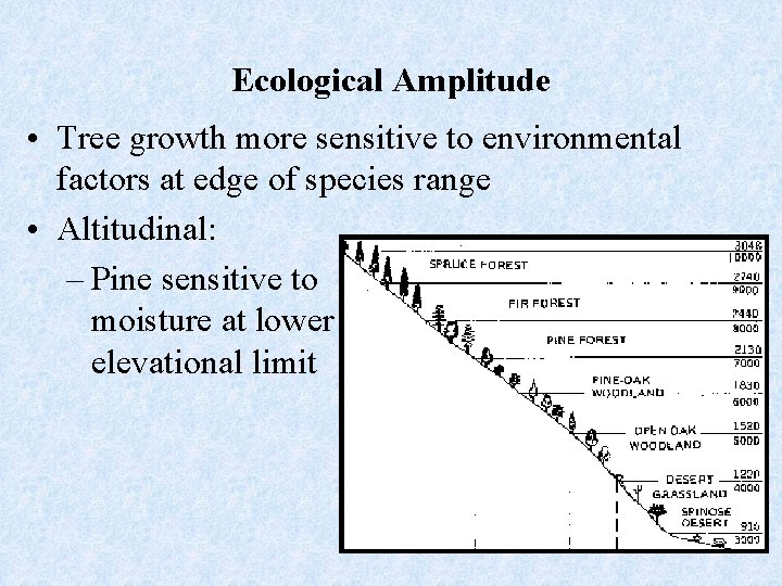 Ecological Amplitude • Tree growth more sensitive to environmental factors at edge of species