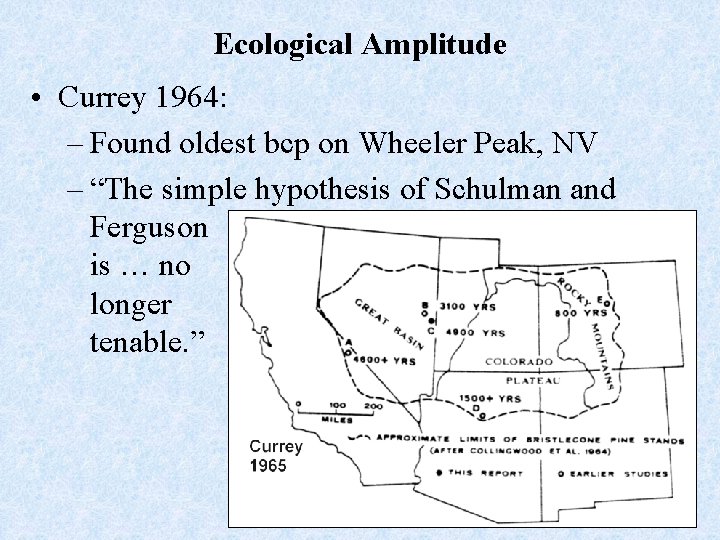 Ecological Amplitude • Currey 1964: – Found oldest bcp on Wheeler Peak, NV –