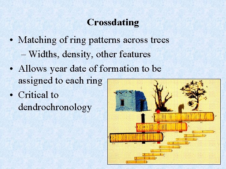 Crossdating • Matching of ring patterns across trees – Widths, density, other features •