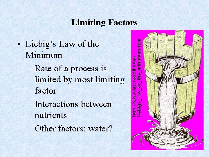 Limiting Factors • Liebig’s Law of the Minimum – Rate of a process is