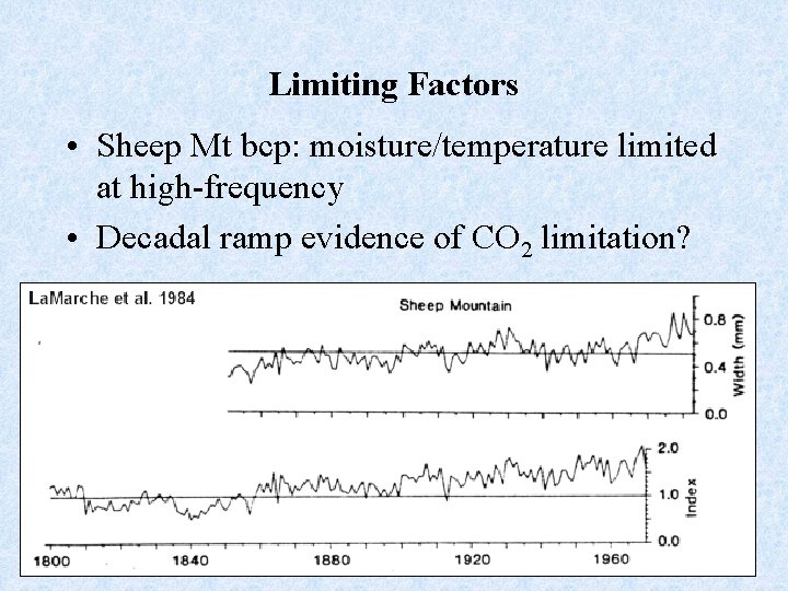 Limiting Factors • Sheep Mt bcp: moisture/temperature limited at high-frequency • Decadal ramp evidence