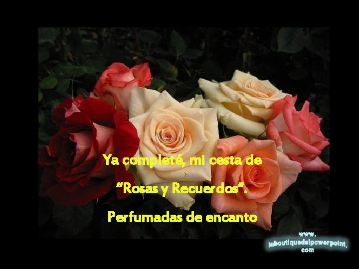 Ya completé, mi cesta de “Rosas y Recuerdos”. Perfumadas de encanto 