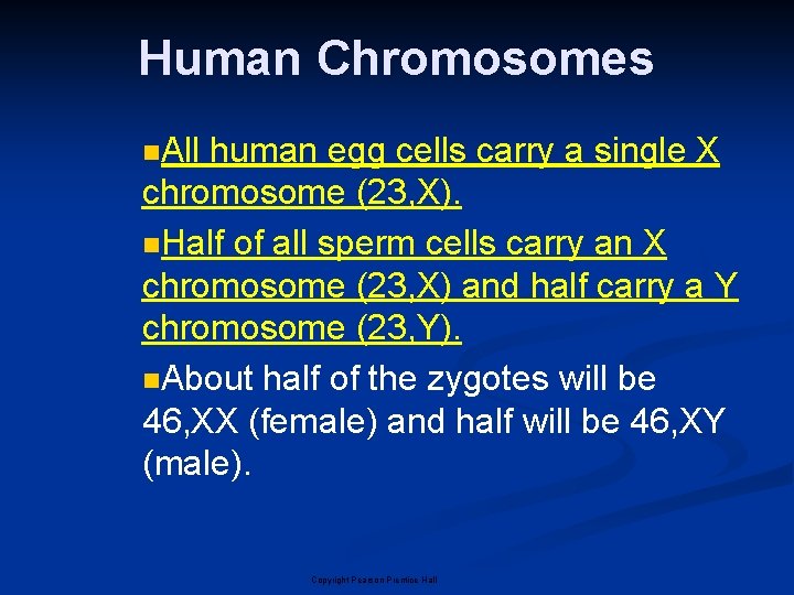 Human Chromosomes n. All human egg cells carry a single X chromosome (23, X). Human Chromosomes n. All human egg cells carry a single X chromosome (23, X).