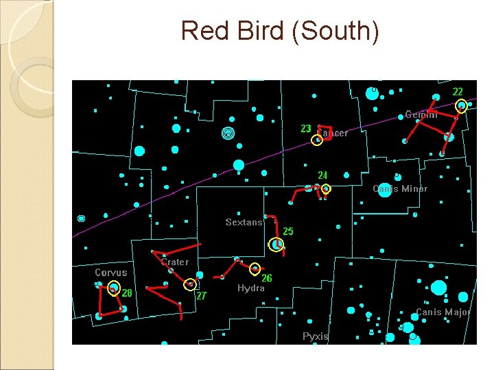 Red Bird (South) 