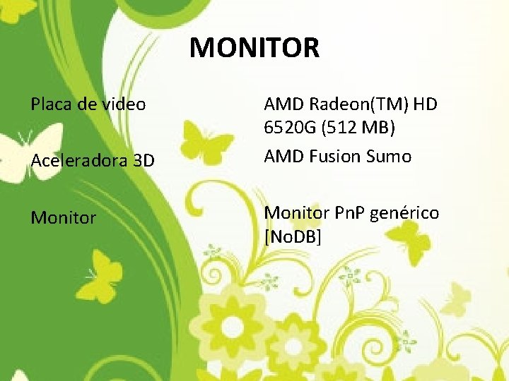 MONITOR Placa de video Aceleradora 3 D Monitor AMD Radeon(TM) HD 6520 G (512